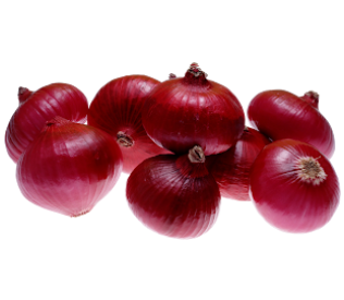 Fresh Onion