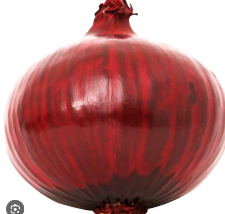 Fresh Onion