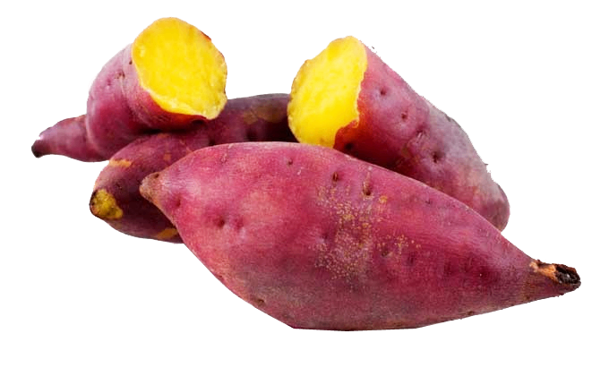 Sweet Potato