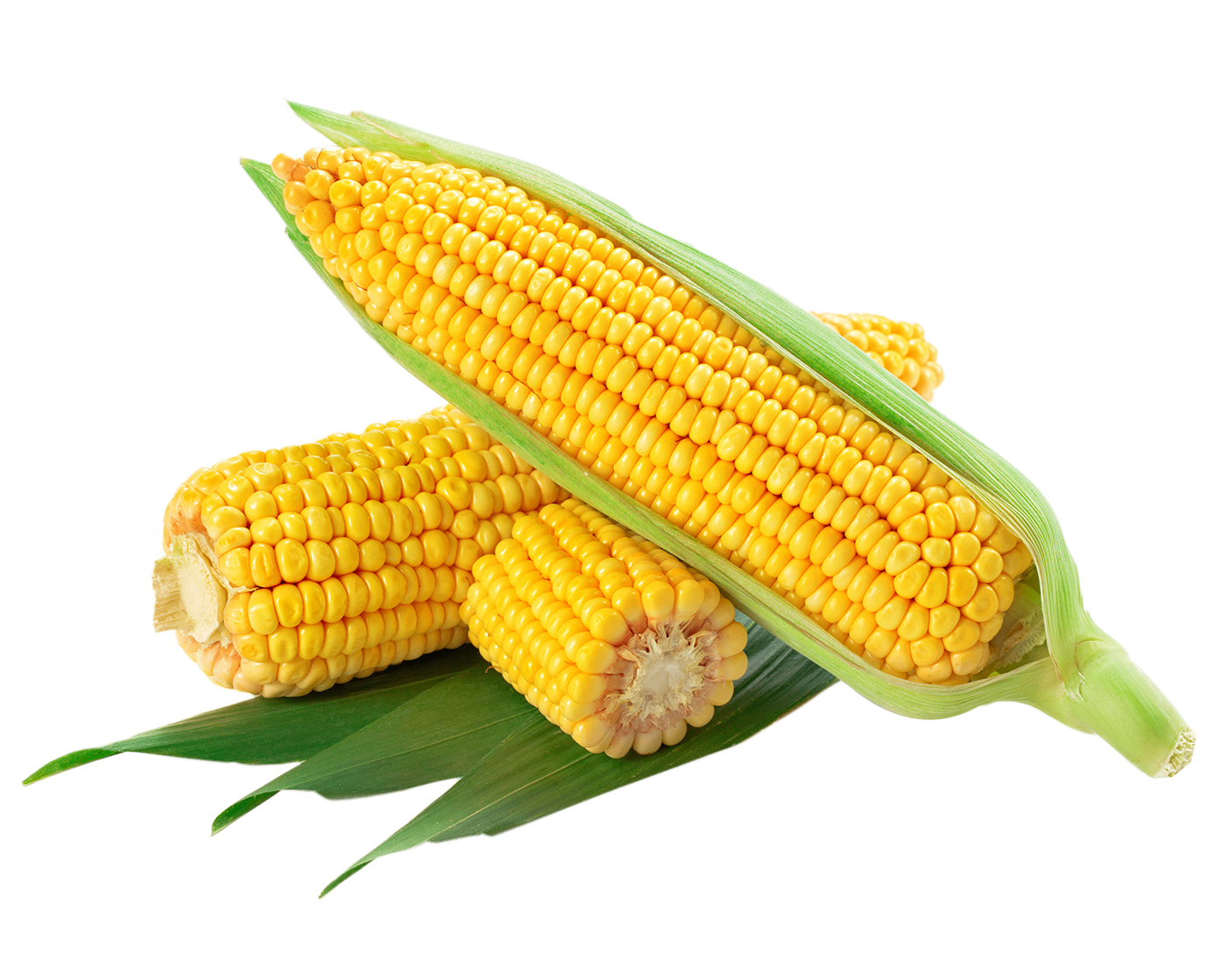 Fresh Sweet Corn (Makkai)