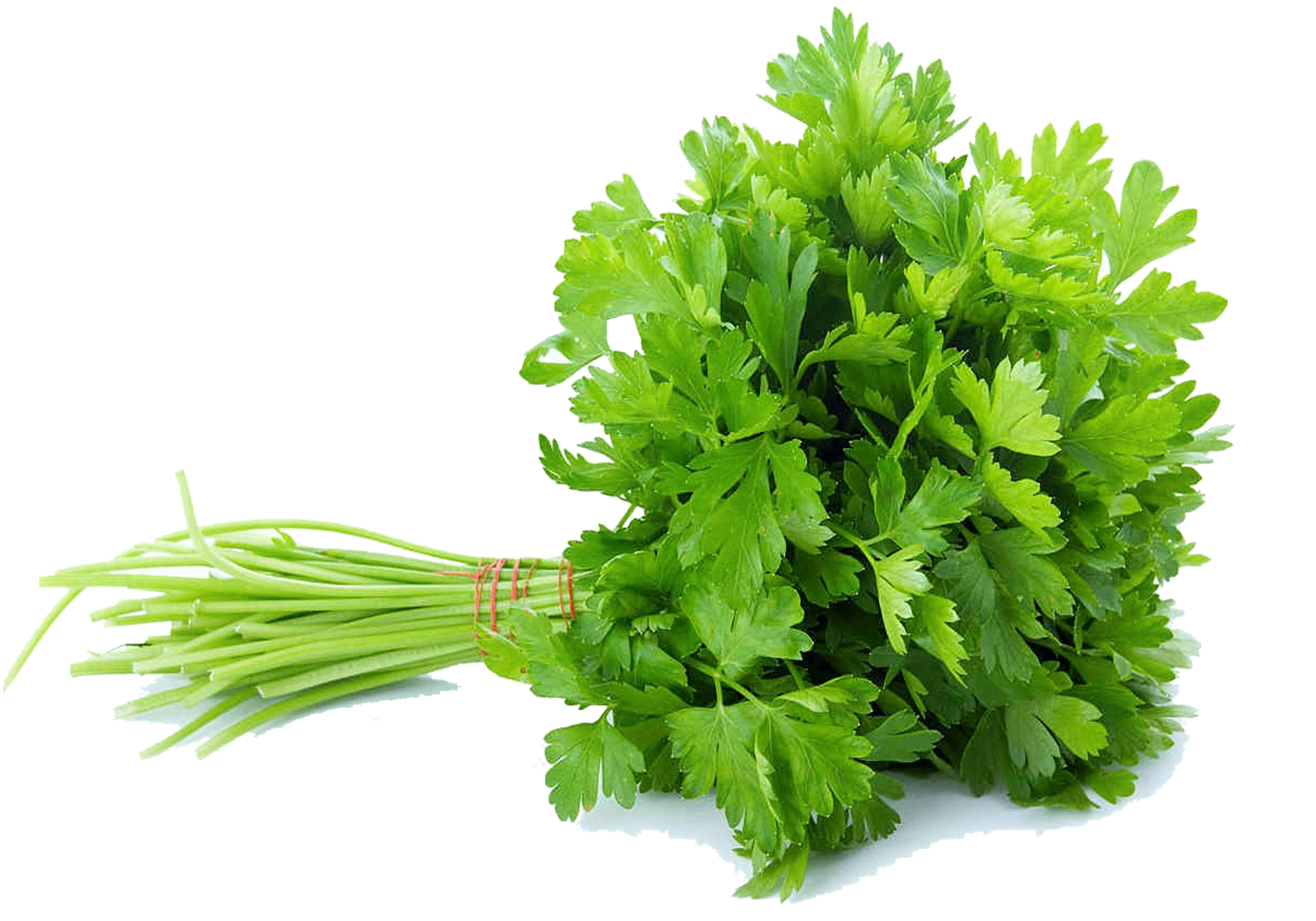 Coriander Leaves (Dhania)
