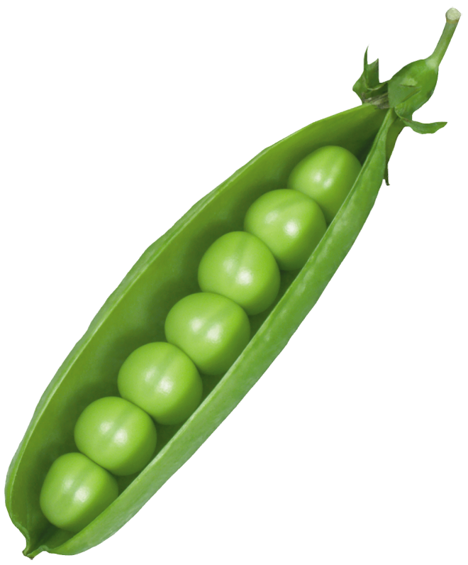 Fresh Green Peas (Matar)