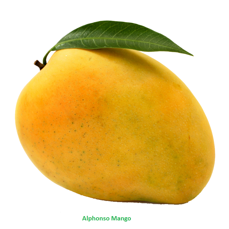 Fresh ripe sweet mango (Paaki Keri)