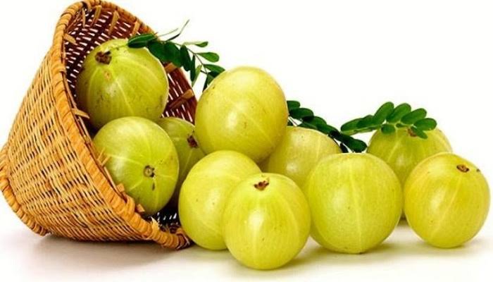 Premium Fresh Indian Gooseberry (Amla)