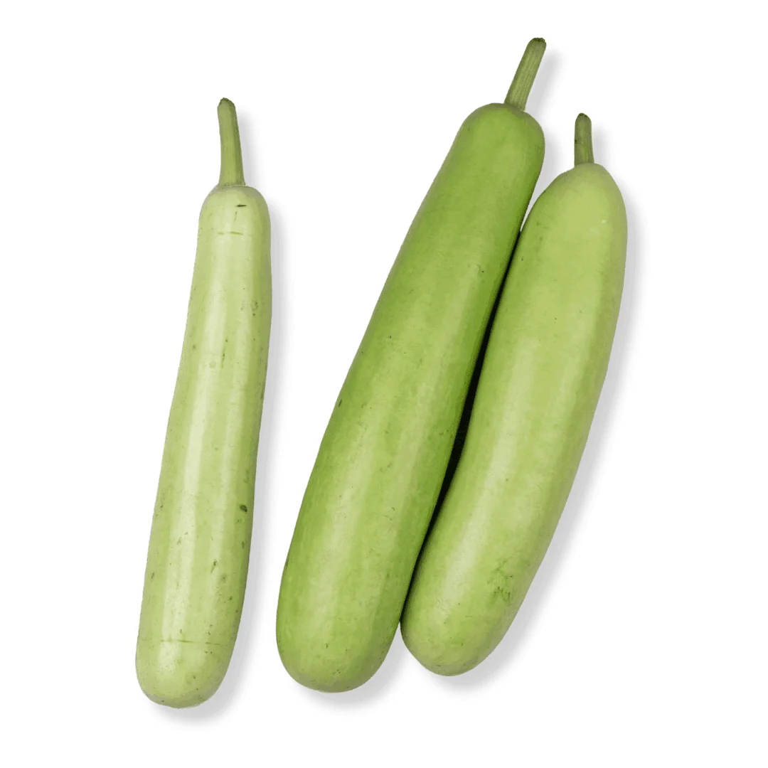 Fresh Bottle Gourd (Dudhi / Lauki)