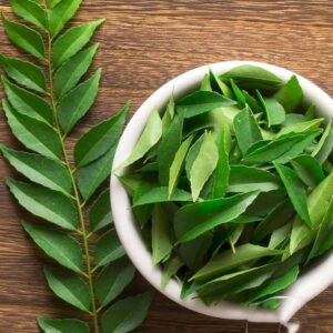 Premium Fresh Curry Leaves (Kadi Patta)