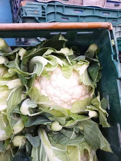 Premium Fresh Cauliflower( Flower-Ful Gobhi)