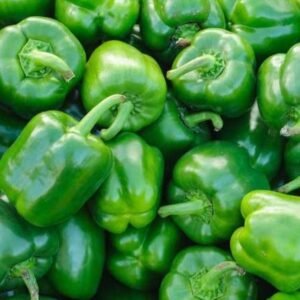 Green Capcicum