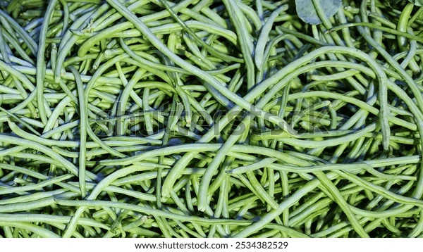 Premium Green Long Beans (Choli / Chawli )