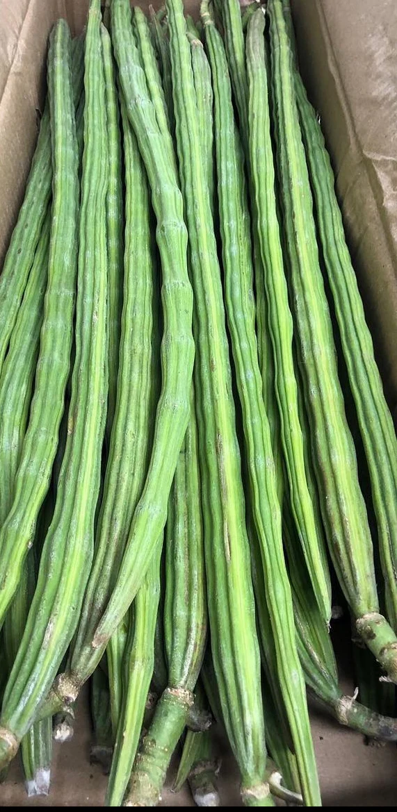 Premium Fresh Drumsticks (Moringa Pods- sargvo)