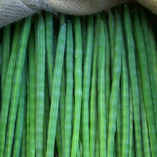 Premium Fresh Drumsticks (Moringa Pods- sargvo)