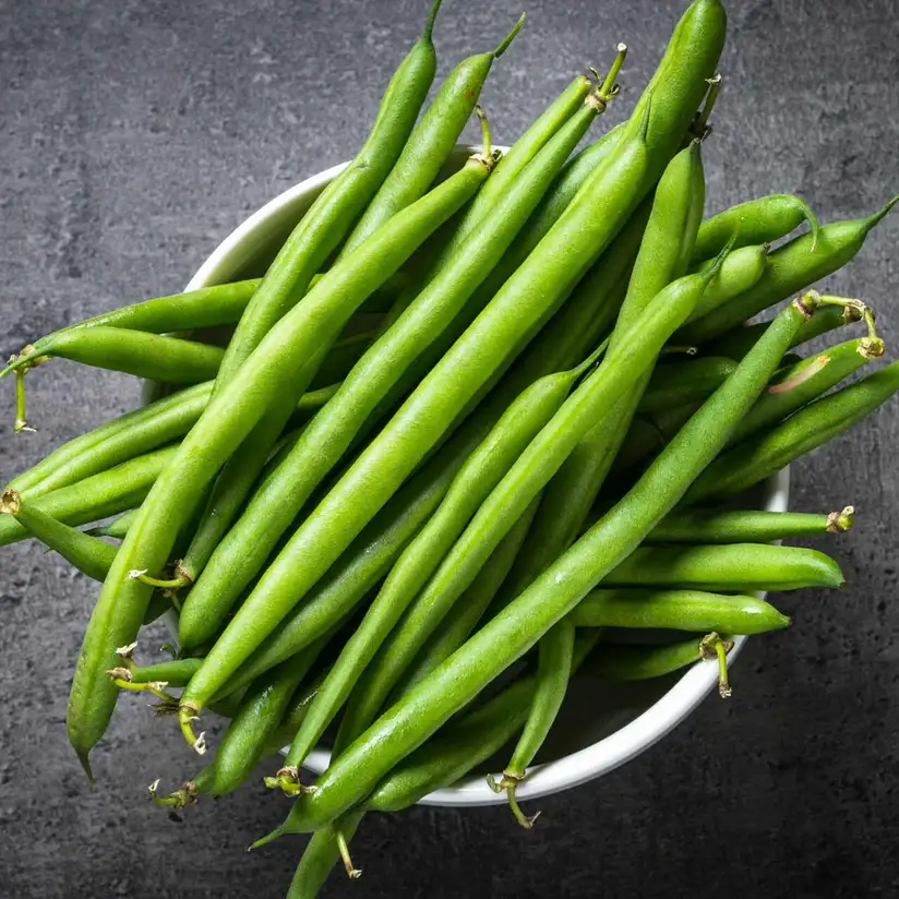 Premium French Beans (Fansi / Green Beans)