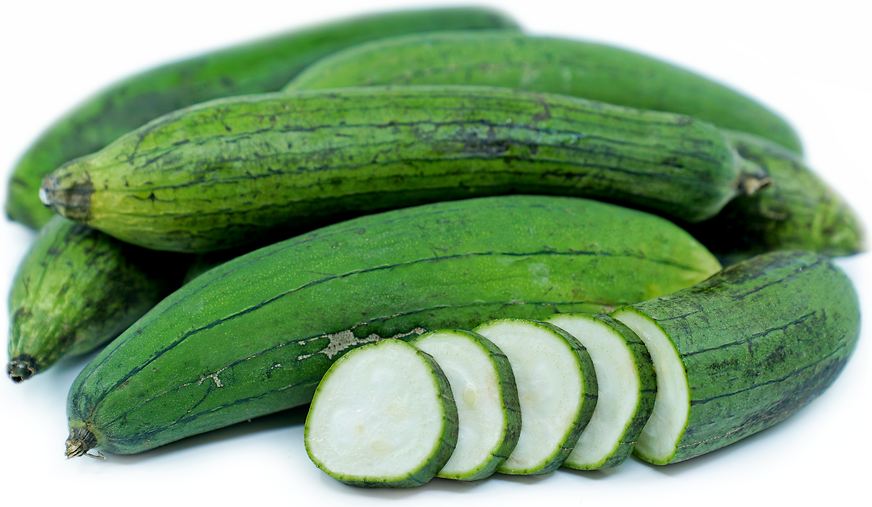 Premium Sponge Gourd (Galka / Ghisoda / Smooth Luffa)
