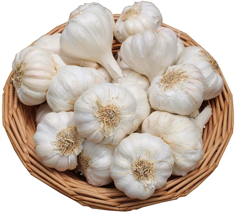 Premium Fresh Garlic (Lahsun)