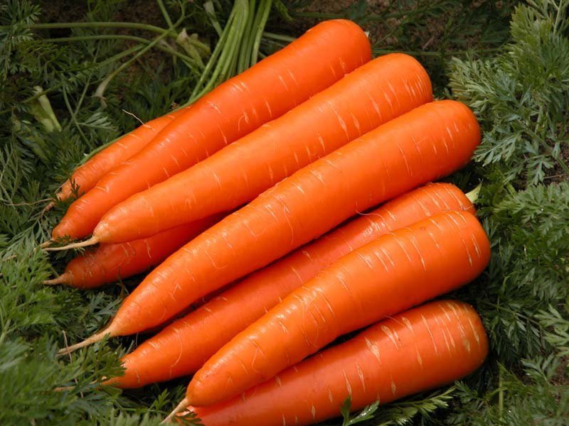 Premium Fresh Carrots (Orange Gajar)