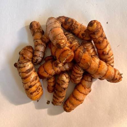 Premium Fresh Yellow Turmeric (Kacchi Haldi)