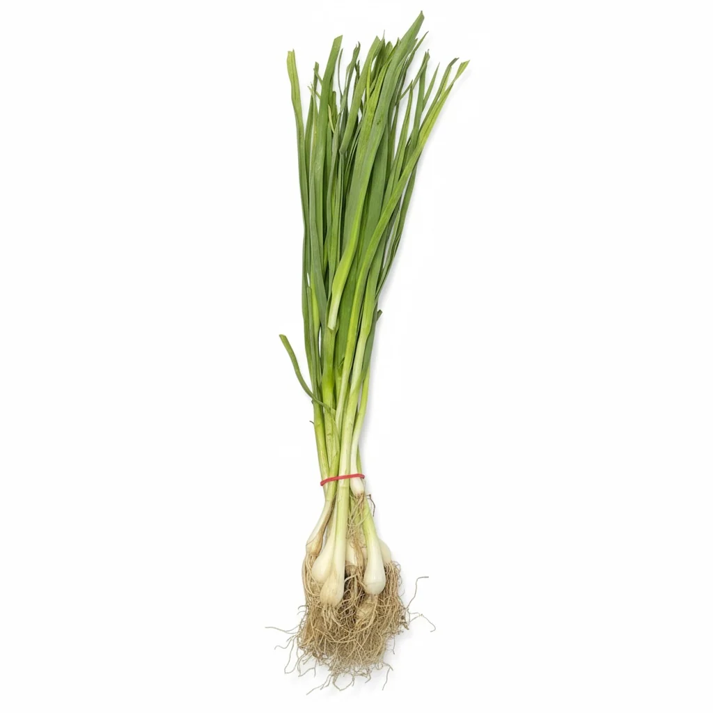 Fresh Green Garlic (Lilu lasan-Hara lasan)