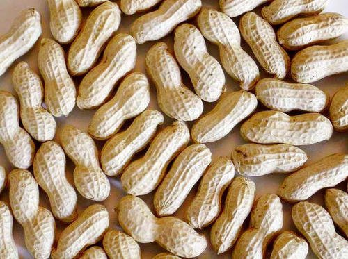 Premium Whole Peanuts (Crunchy Raw Groundnuts)