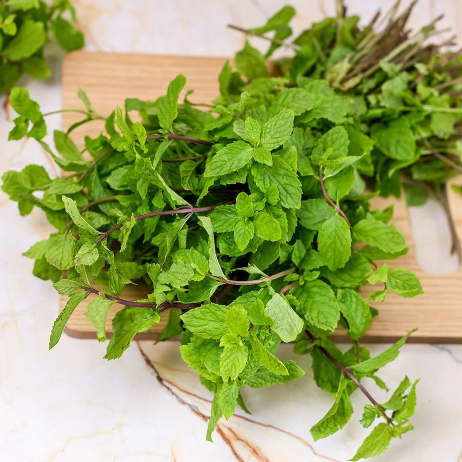 Premium Fresh Mint Leaves (Pudina)