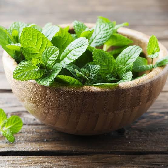 Premium Fresh Mint Leaves (Pudina)