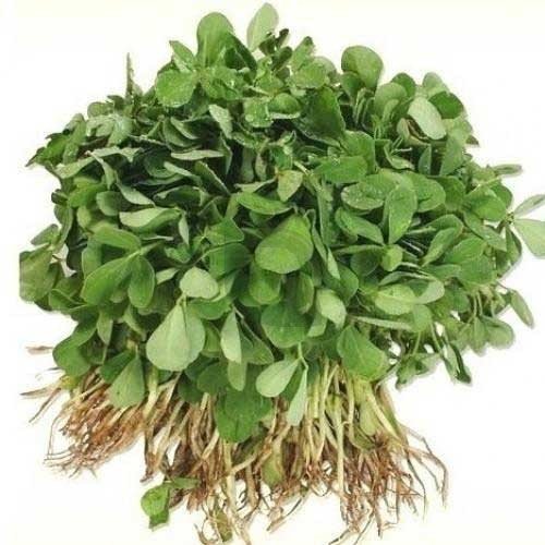 Premium Fresh Fenugreek Leaves (Methi)
