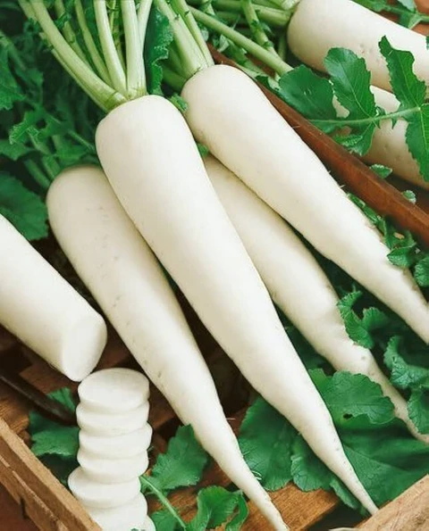 Premium Fresh White Radish (Mooli)