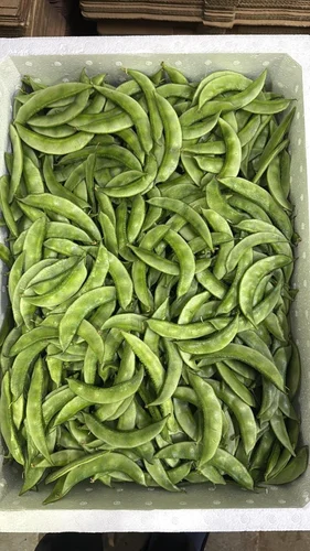 Fresh  Premium Indian Flat Beans (Valor Papdi )