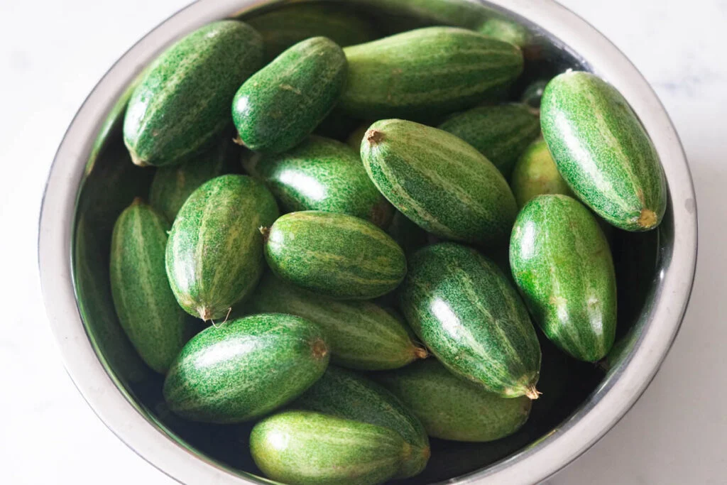 Premium Pointed Gourd (Parvar / Parval)