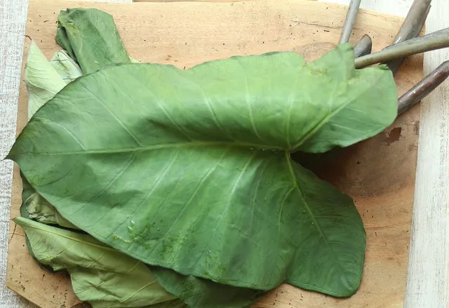 Premium Fresh Patra (Patarveliya / Taro Leaves)