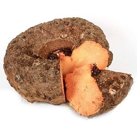Premium Elephant Foot Yam (Suran / Jimikand)