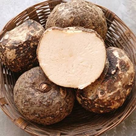Premium Elephant Foot Yam (Suran / Jimikand)