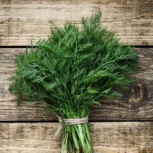 Premium Fresh Dill Leaves (Suva / Shepu)