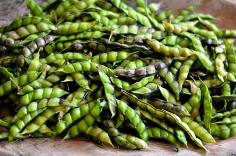 Fresh Green Pigeon Peas(Tuver- Green Toor)