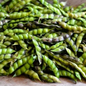 Fresh Green Pigeon Peas(Tuver- Green Toor)