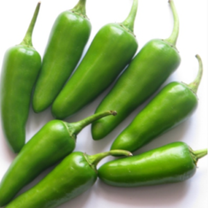 Premium Wadhwani Green Chilies (Vadvani Marcha)