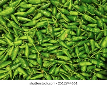 Premium Wadhwani Green Chilies (Vadvani Marcha)