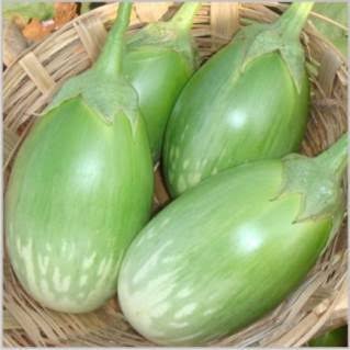 Premium Green Round Brinjal (Lila Ravaiya / Green Baby Eggplant)
