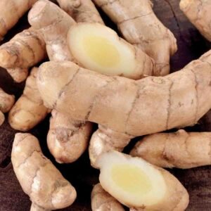 Premium White Turmeric (White Haldi / Amba Haldi / Mango Ginger)